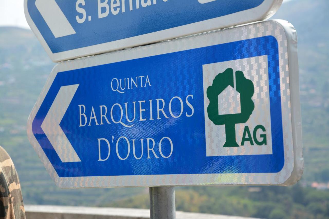 Villa Quinta Barqueiros D'Ouro - Casa Da Musica à Mesão Frio Extérieur photo