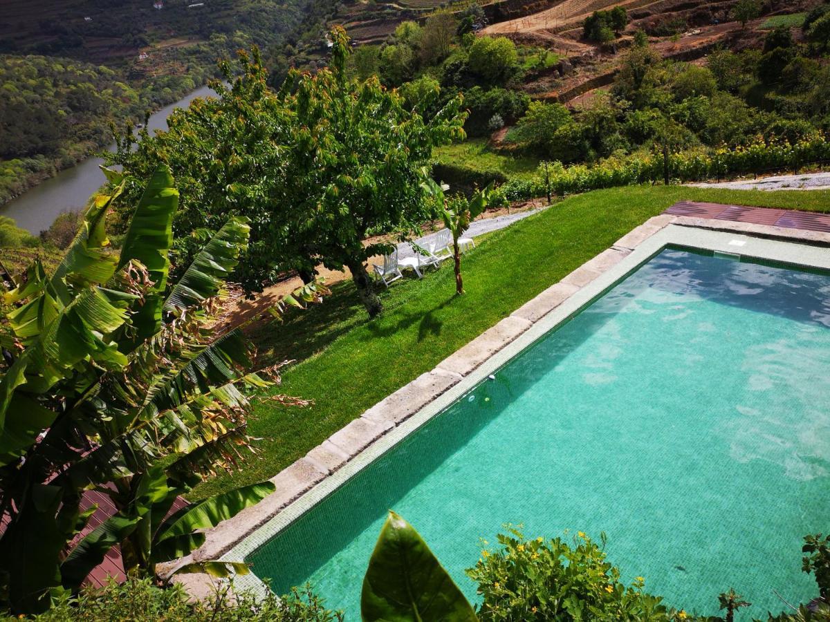Villa Quinta Barqueiros D'Ouro - Casa Da Musica à Mesão Frio Extérieur photo