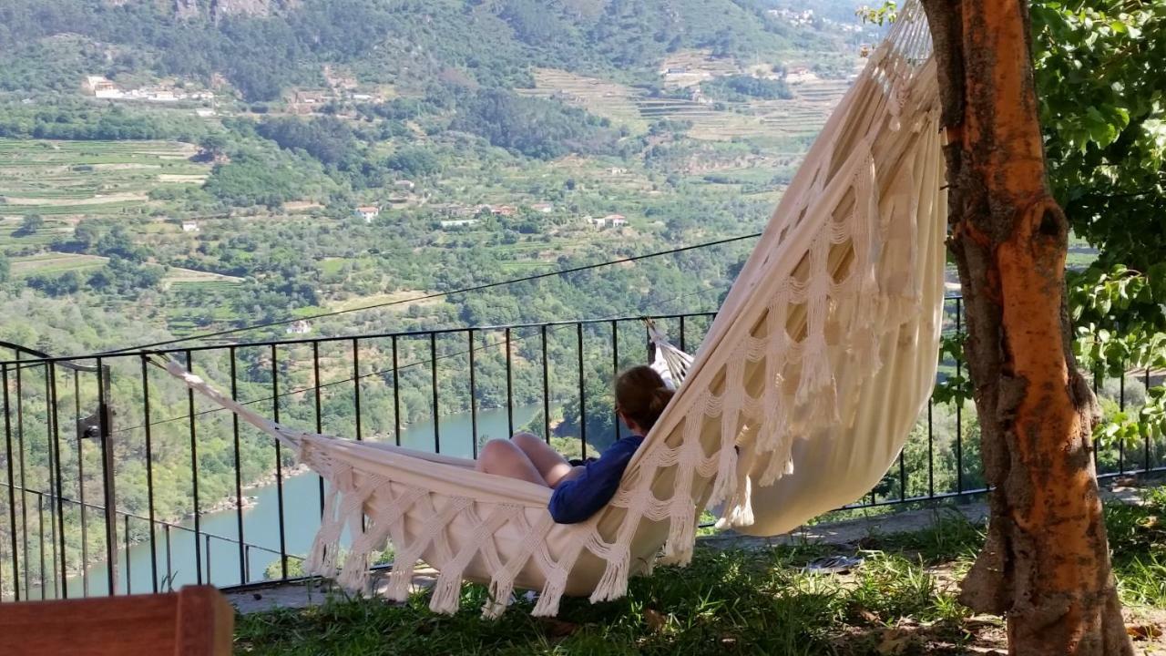 Villa Quinta Barqueiros D'Ouro - Casa Da Musica à Mesão Frio Extérieur photo